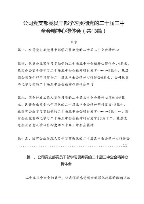 （13篇）公司党支部党员干部学习贯彻党的二十三中全会精神心得体会（最新版）.docx