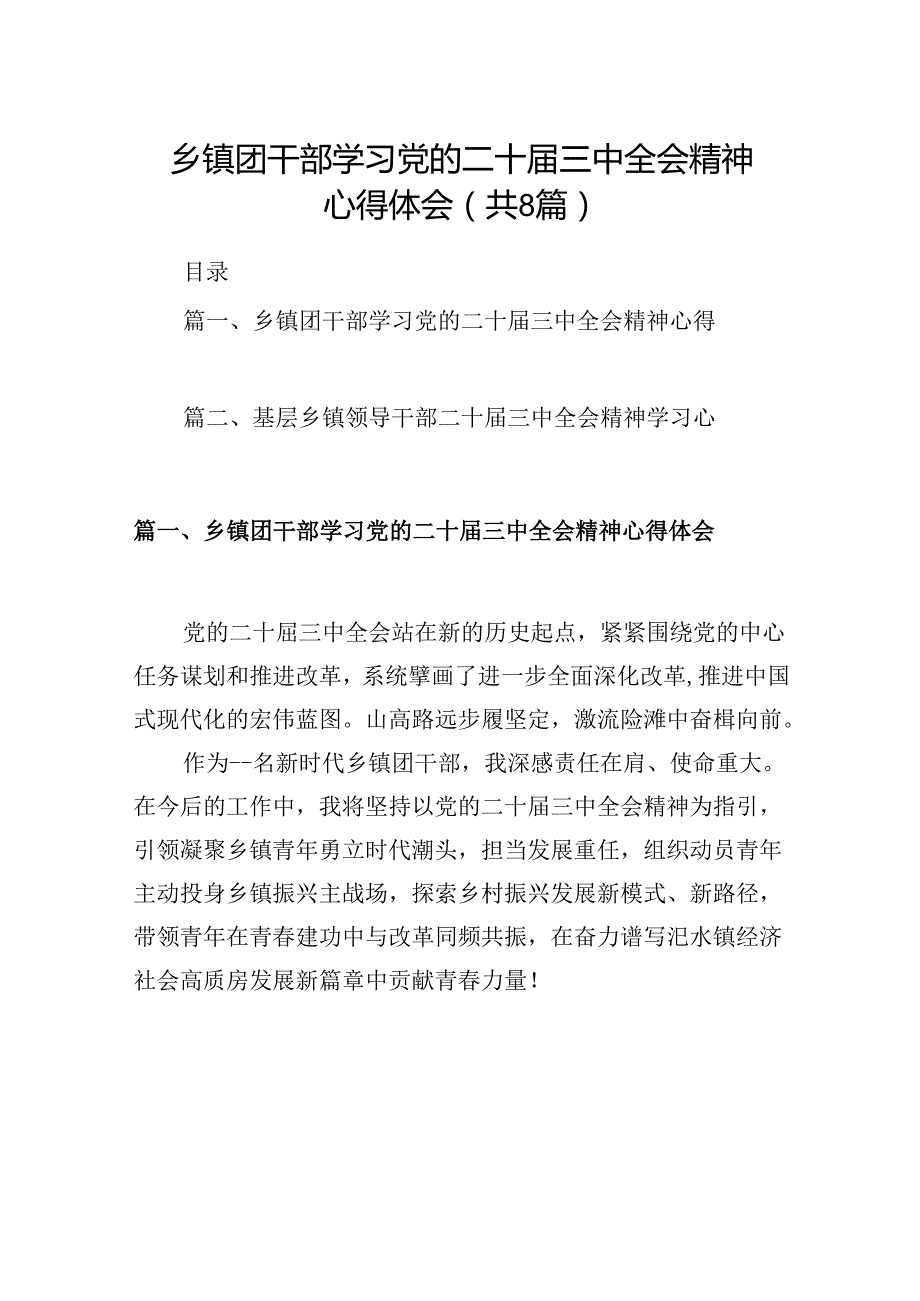 (八篇)乡镇团干部学习党的二十三中全会精神心得体会（详细版）.docx_第1页