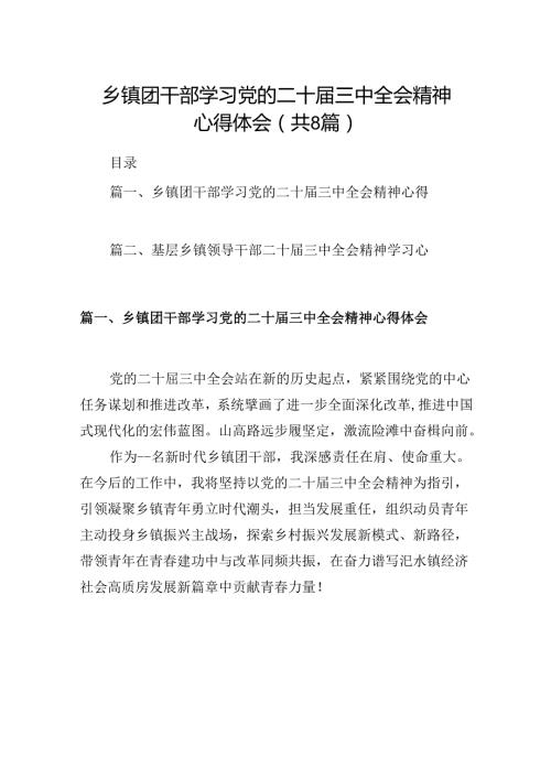 (八篇)乡镇团干部学习党的二十三中全会精神心得体会（详细版）.docx