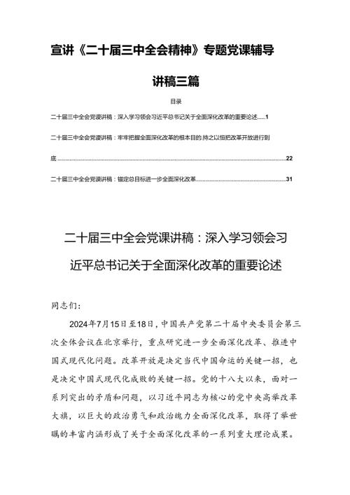 宣讲《二十三中全会精神》专题党课辅导讲稿三篇.docx