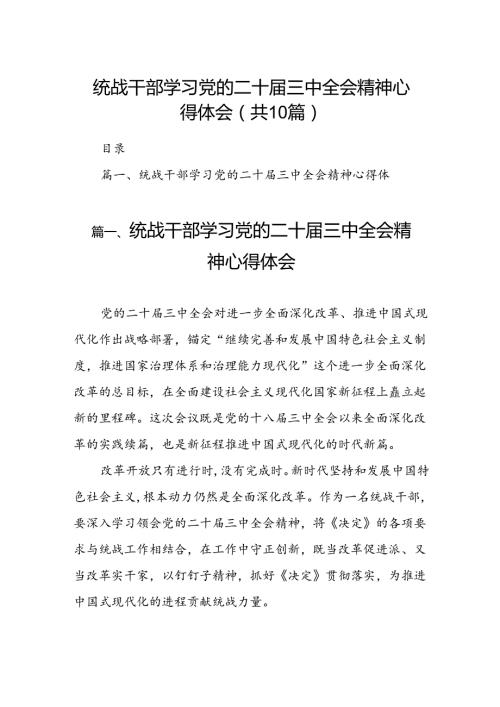 （10篇）统战干部学习党的二十三中全会精神心得体会范文.docx