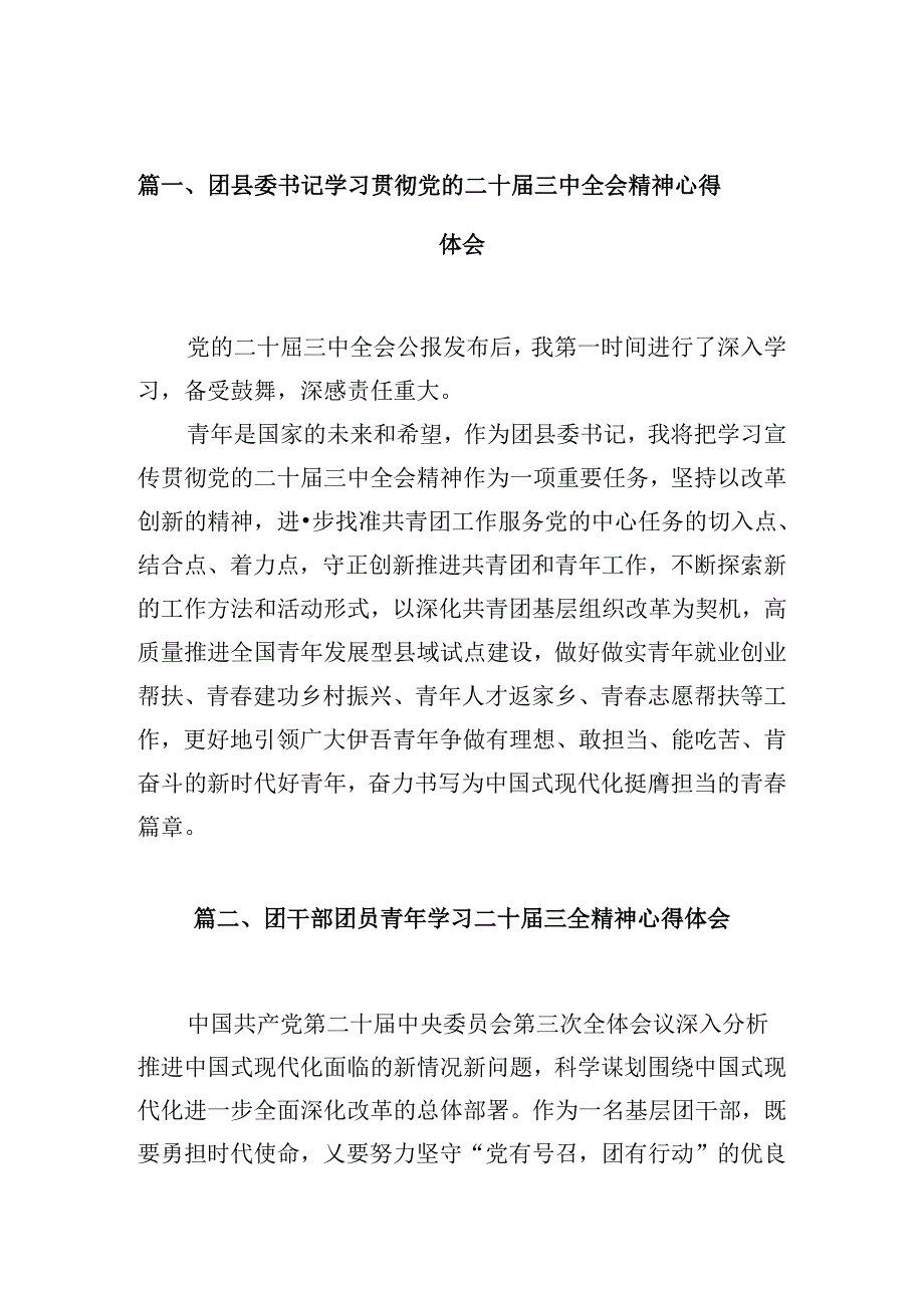 （10篇）团县委书记学习贯彻党的二十三中全会精神心得体会范文.docx_第2页