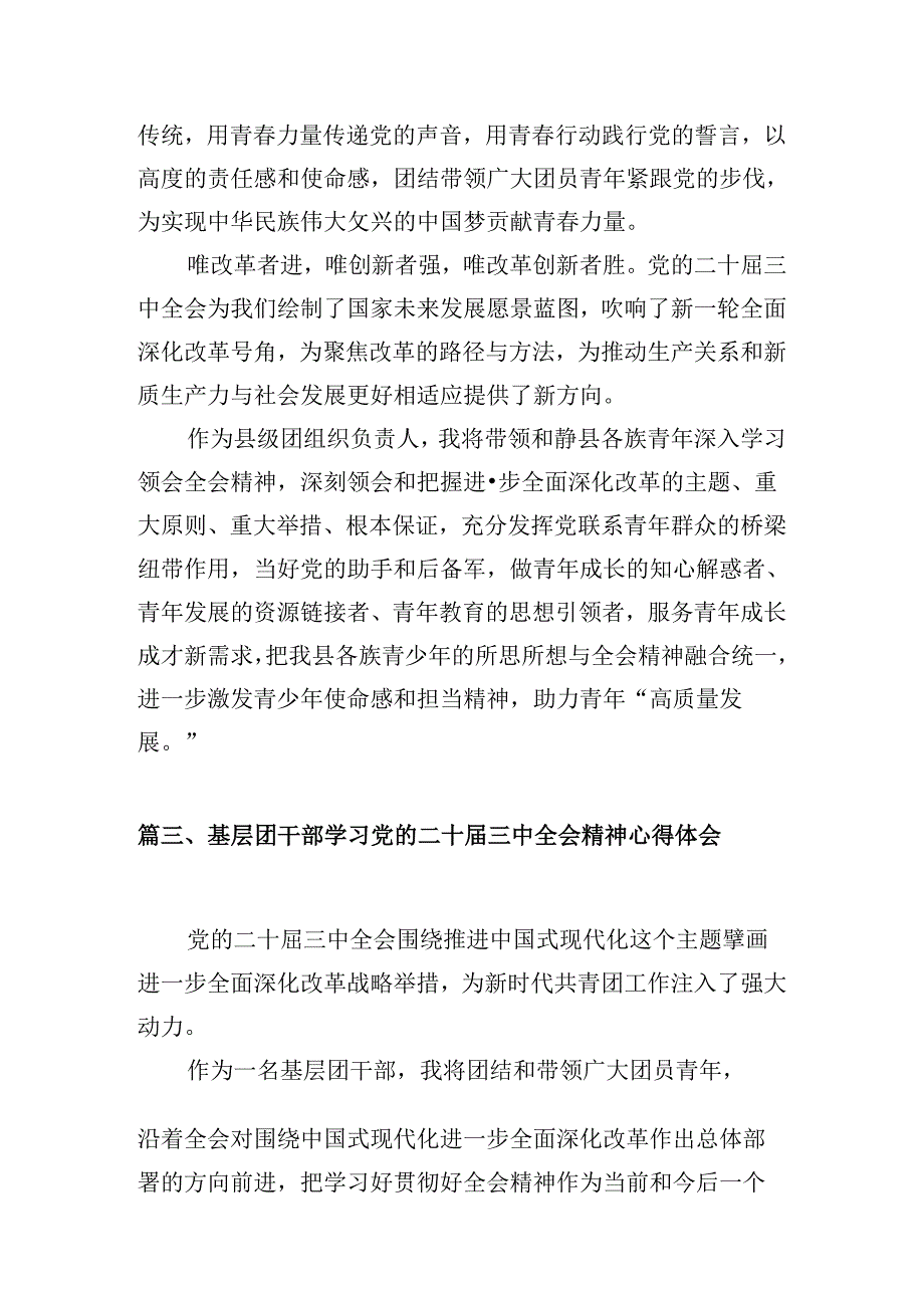 （10篇）团县委书记学习贯彻党的二十三中全会精神心得体会范文.docx_第3页
