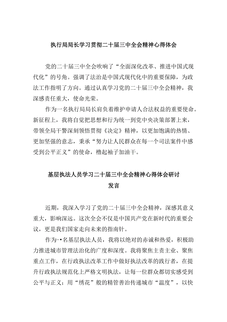 （11篇）执行局局长学习贯彻二十三中全会精神心得体会（详细版）.docx_第1页