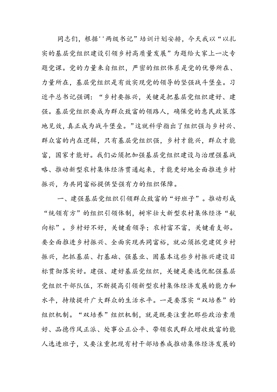 以扎实的基层党组织建设引领乡村高质量发展讲稿.docx_第1页