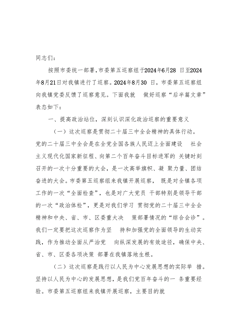 乡镇党委在2024年巡察整改工作反馈会上的表态发言和乡镇巡察整改报告.docx_第2页