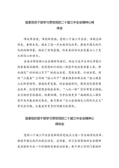 县委党员干部学习贯彻党的二十三中全会精神心得体会8篇（详细版）.docx