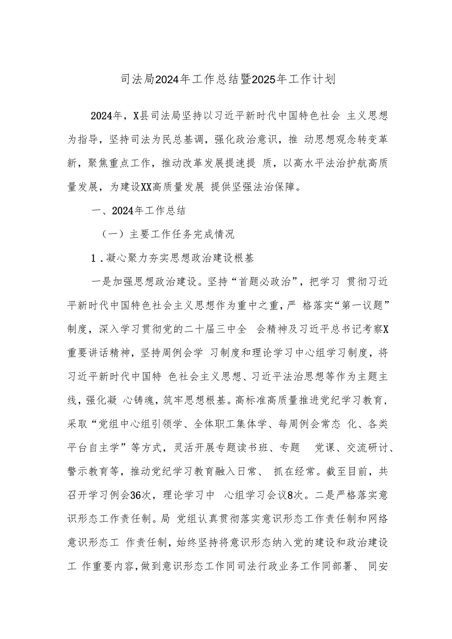 司法局2024年工作总结暨2025年工作计划.docx