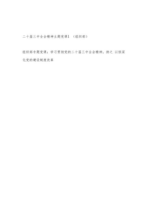 组织部门部长学习二十三中全会精神主题党课讲稿2篇.docx
