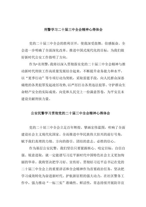 （11篇）刑警学习二十三中全会精神心得体会（详细版）.docx