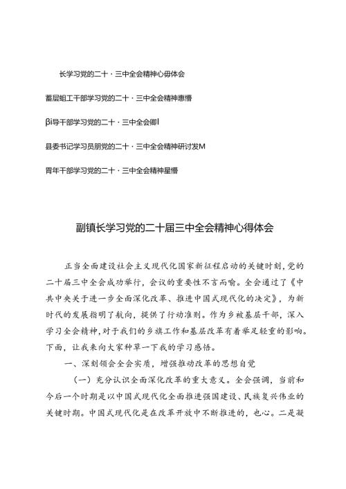 5篇 青年干部学习党的二十三中全会精神感悟研讨发言（县委书记、领导干部、基层组工干部、副镇长）.docx