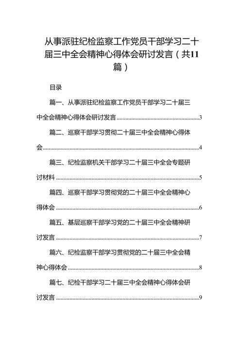 （11篇）从事派驻纪检监察工作党员干部学习二十三中全会精神心得体会研讨发言（最新版）.docx