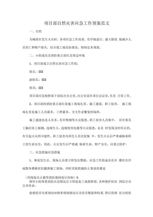 项目部自然灾害应急工作预案范文.docx