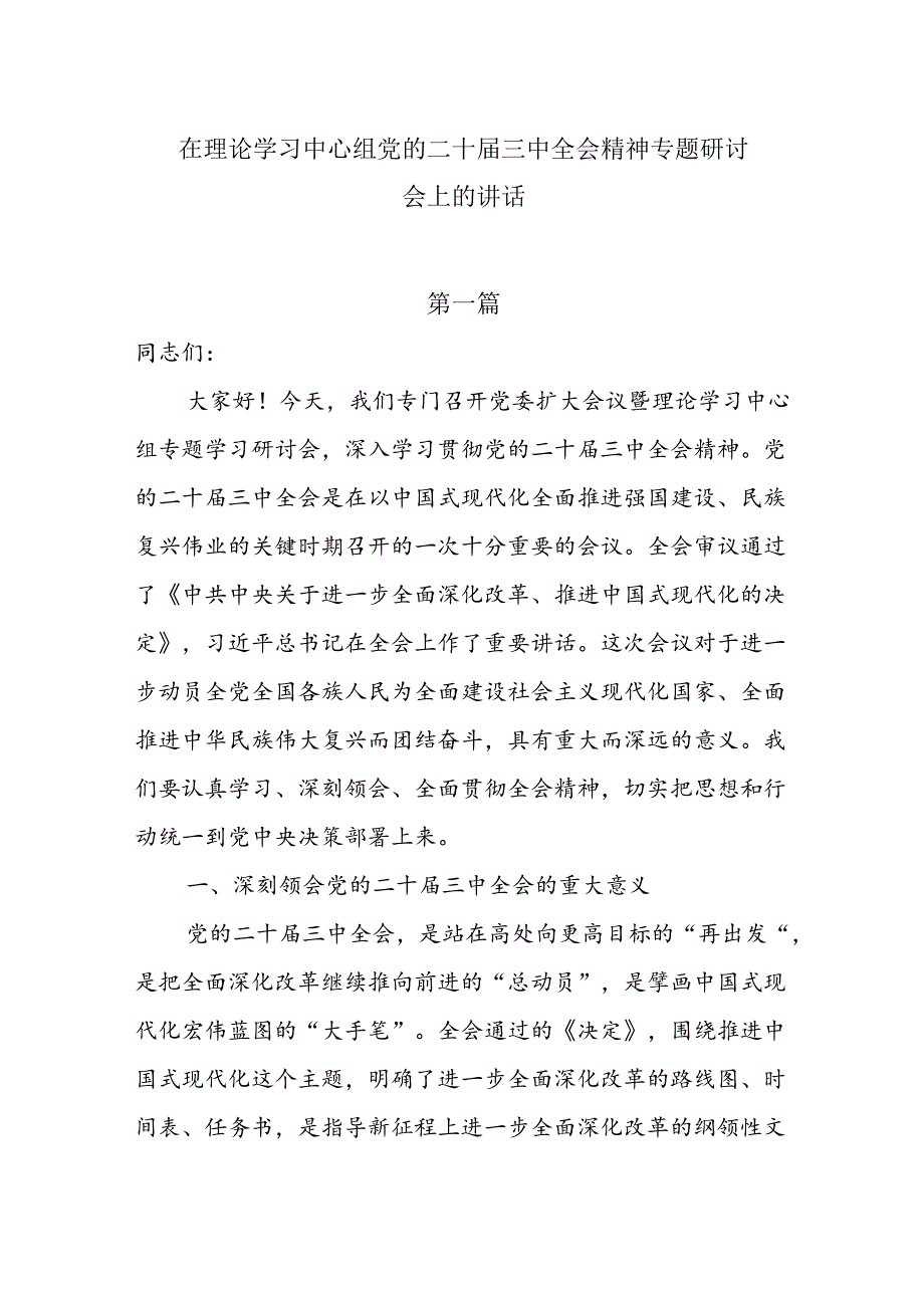 10篇在理论学习中心组党的二十三中全会精神专题研讨会上的讲话及发言材料.docx_第1页
