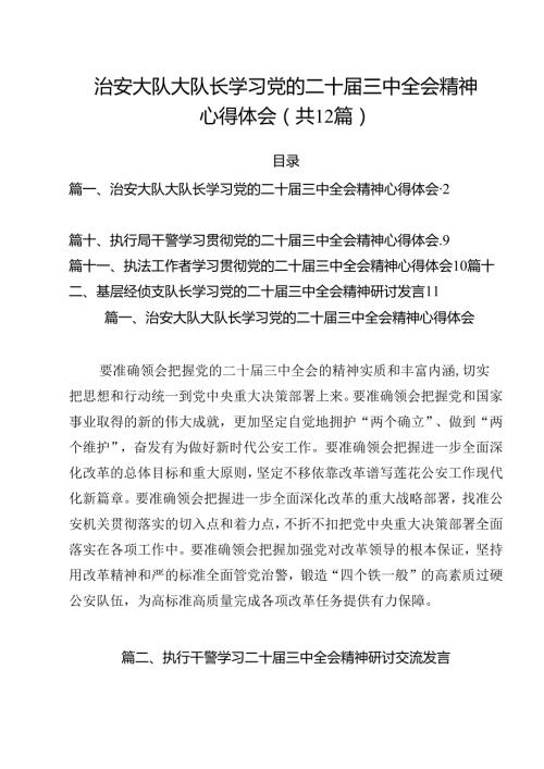 治安大队大队长学习党的二十三中全会精神心得体会12篇（详细版）.docx