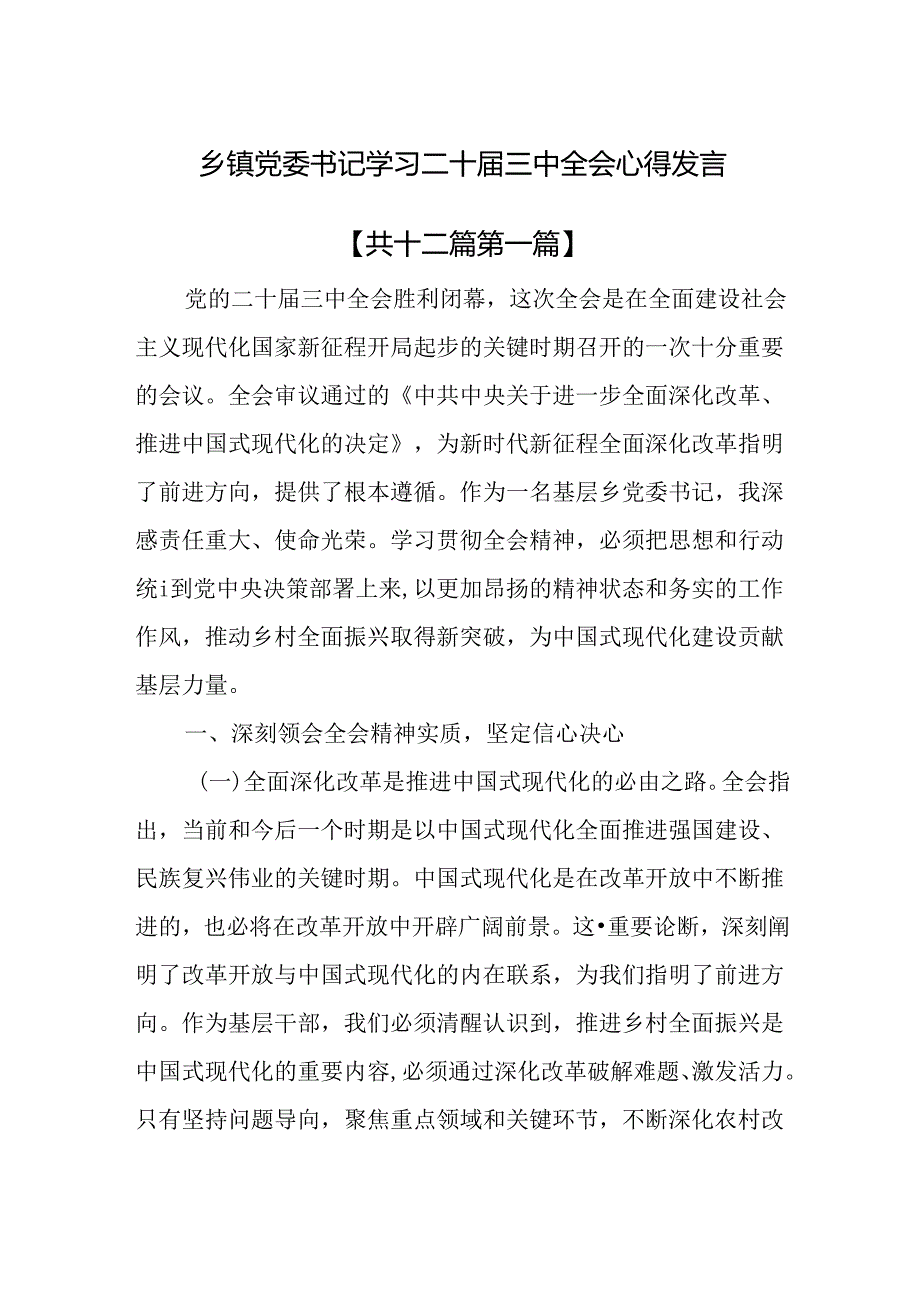 （12篇）乡镇党委书记学习二十三中全会心得发言.docx_第1页