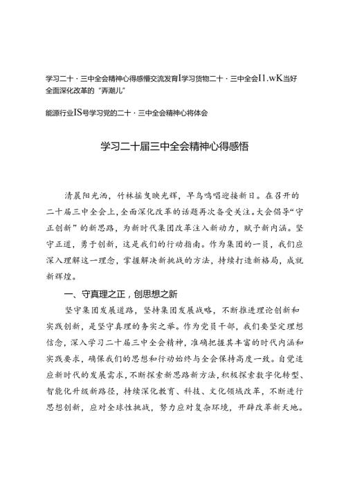 3篇 2024年领导学习党的二十三中全会精神心得体会感悟、交流发言.docx
