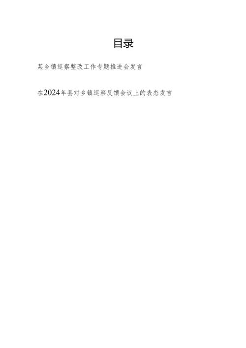 2024在乡镇巡察整改工作专题推进会发言和县对乡镇巡察反馈会议上的表态发言.docx