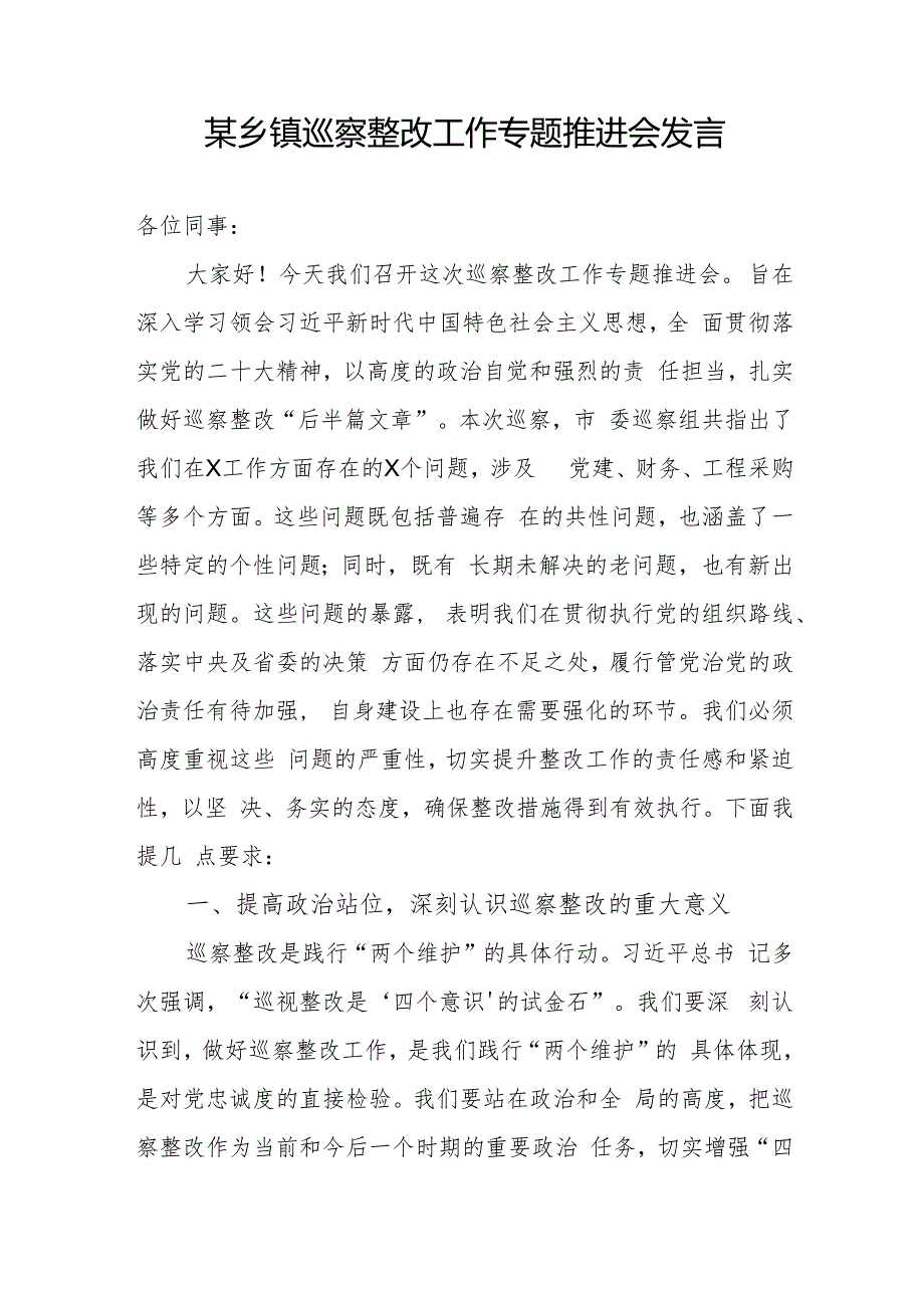 2024在乡镇巡察整改工作专题推进会发言和县对乡镇巡察反馈会议上的表态发言.docx_第2页