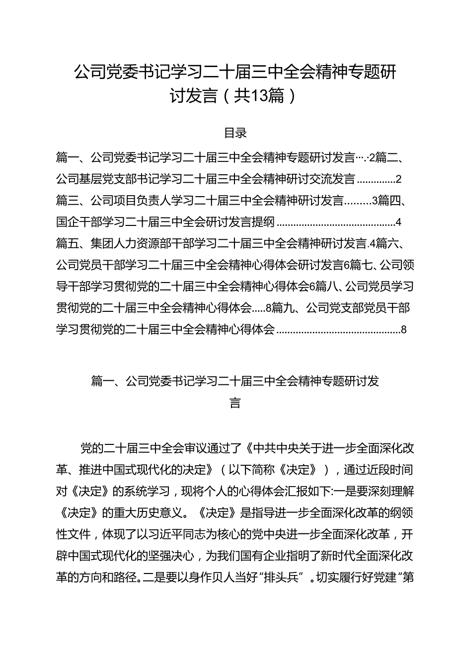 （13篇）公司党委书记学习二十三中全会精神专题研讨发言（精选）.docx_第1页