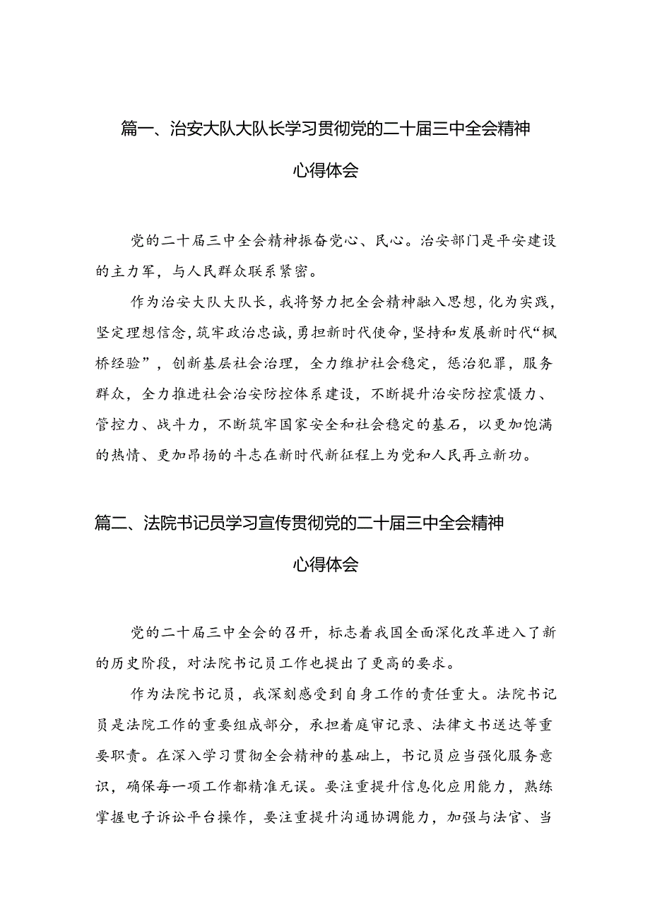 （10篇）治安大队大队长学习贯彻党的二十三中全会精神心得体会范文.docx_第2页