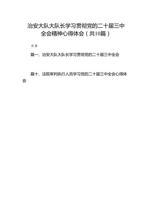 （10篇）治安大队大队长学习贯彻党的二十三中全会精神心得体会范文.docx