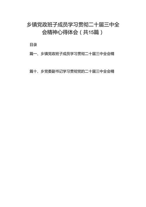 （15篇）乡镇党政班子成员学习贯彻二十三中全会精神心得体会（精选）.docx