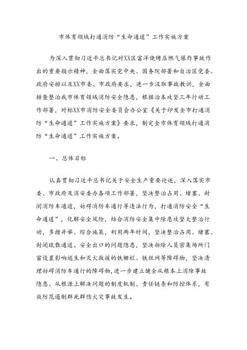 市体育领域打通消防“生命通道”工作实施方案.docx