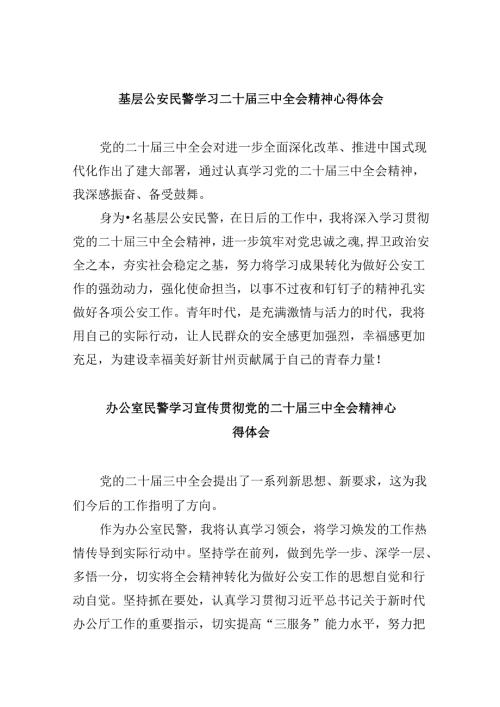 （11篇）基层公安民警学习二十三中全会精神心得体会（精选）.docx