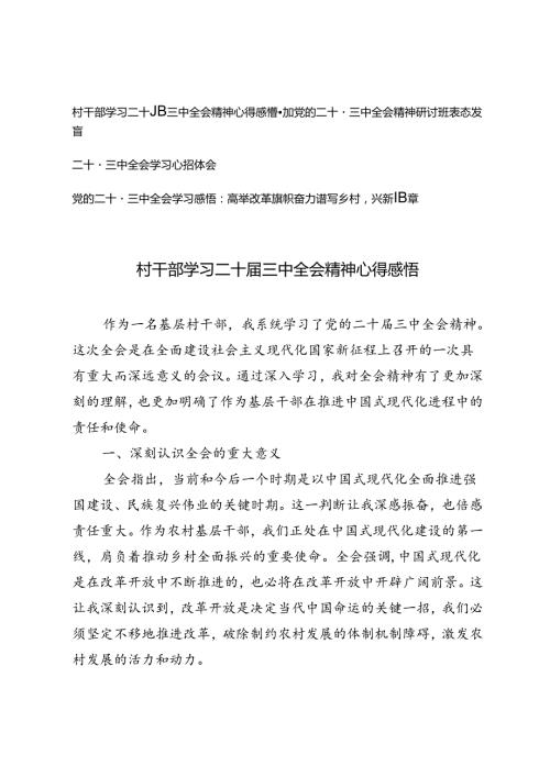 2024年9月村干部学习二十三中全会精神心得体会感悟.docx
