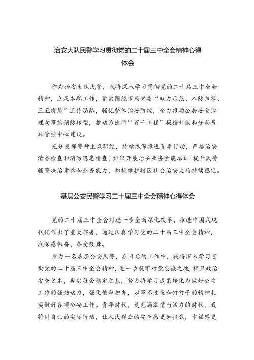（9篇）治安大队民警学习贯彻党的二十三中全会精神心得体会（详细版）.docx