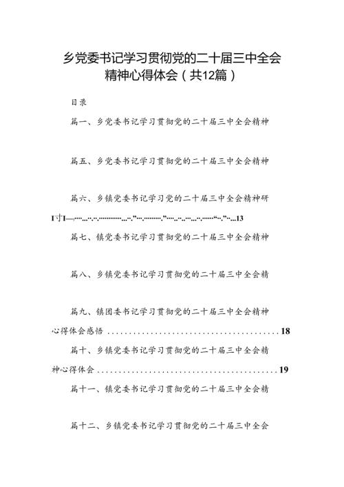 乡党委书记学习贯彻党的二十三中全会精神心得体会12篇（精选）.docx