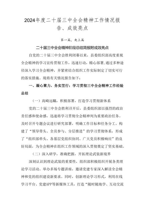 2024二十三中全会精神工作情况报告、成效亮点.docx