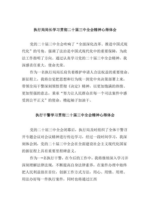 （11篇）执行局局长学习贯彻二十三中全会精神心得体会（精选）.docx