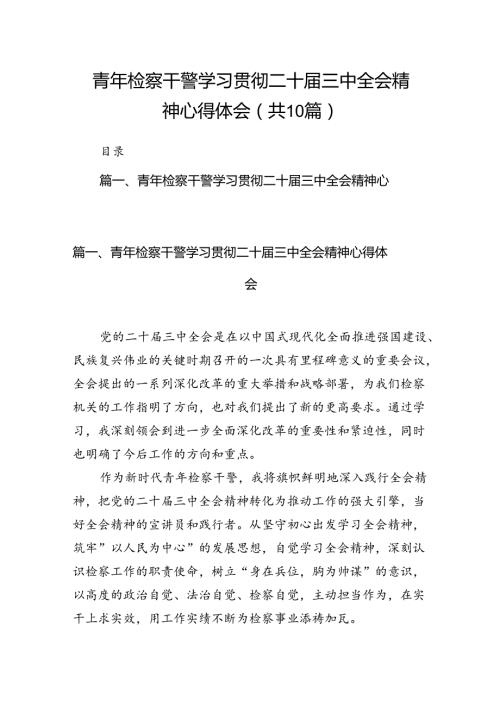 （10篇）青年检察干警学习贯彻二十三中全会精神心得体会（精选）.docx