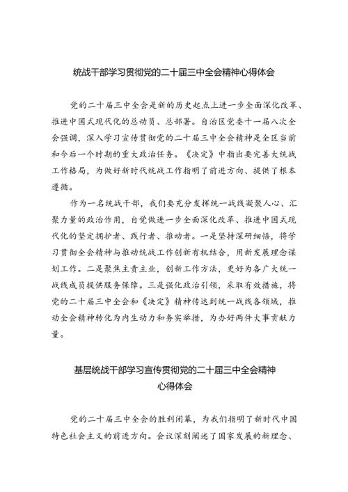 （9篇）统战干部学习贯彻党的二十三中全会精神心得体会（精选）.docx