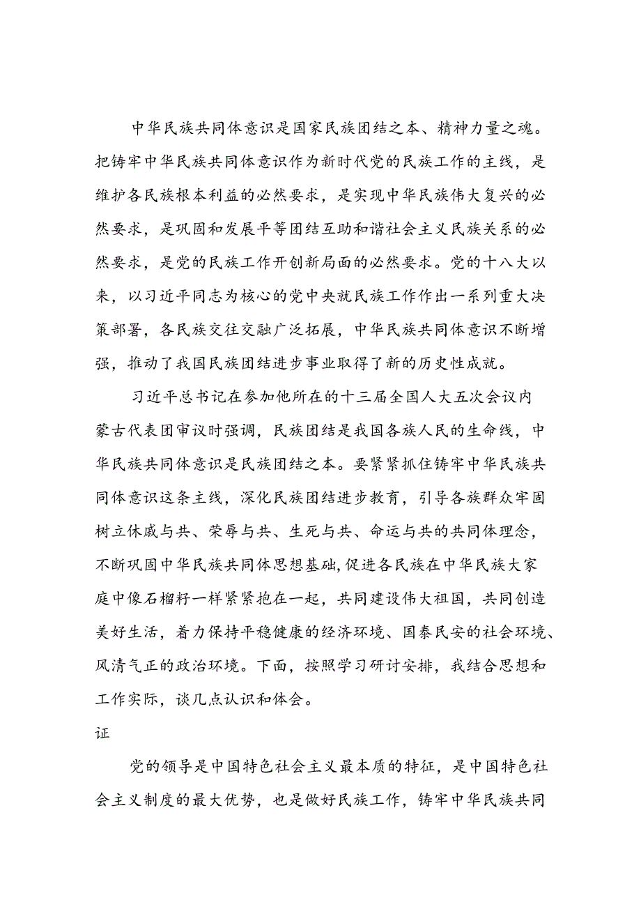 2025铸牢中华民族共同体意识研讨发言材料6篇.docx_第2页