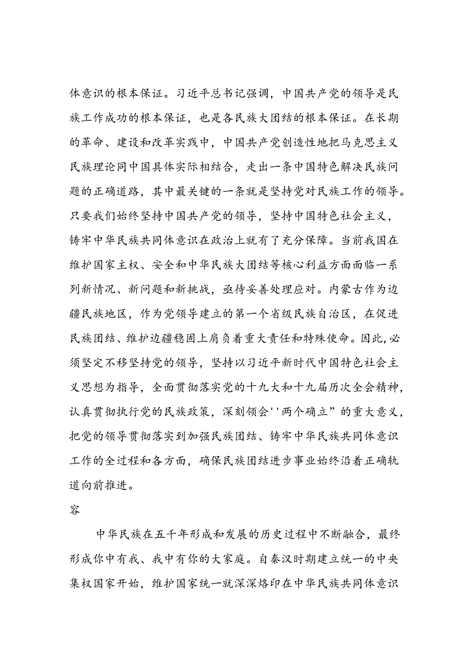 2025铸牢中华民族共同体意识研讨发言材料6篇.docx_第3页