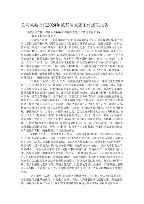 公司党委书记2024年抓基层党建工作述职报告.docx