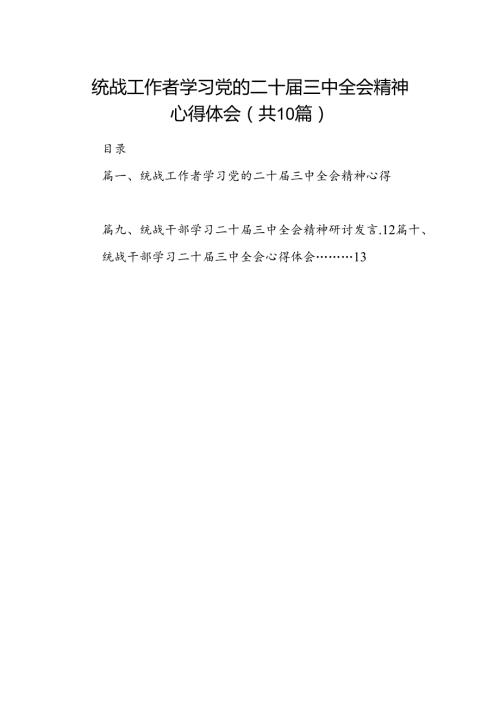 （10篇）统战工作者学习党的二十三中全会精神心得体会集合.docx