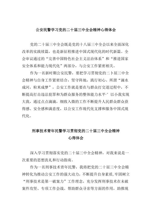 （11篇）公安民警学习党的二十三中全会精神心得体会范本.docx