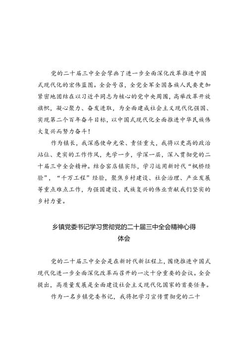 （9篇）镇长学习贯彻党的二十三中全会精神心得体会最新.docx