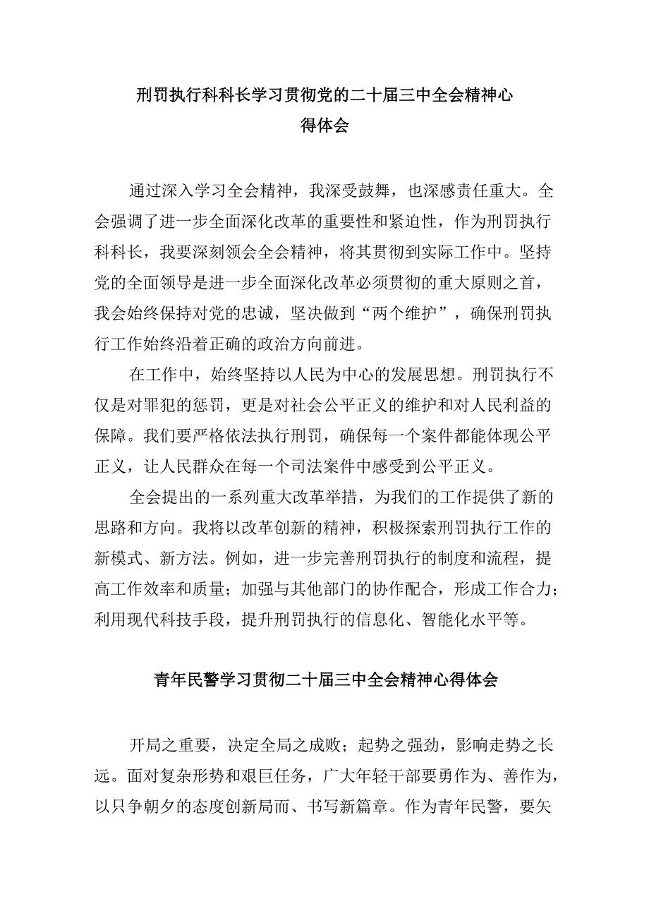 （11篇）刑侦民警学习贯彻党的二十三中全会精神心得体会集合.docx_第3页