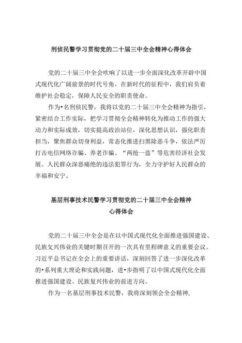 （11篇）刑侦民警学习贯彻党的二十三中全会精神心得体会集合.docx