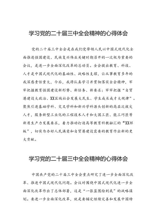 2024年二十三中全会精神学习体会范文四十四篇.docx