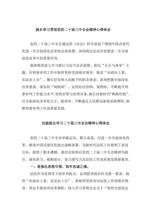 （11篇）庭长学习贯彻党的二十三中全会精神心得体会（最新版）.docx