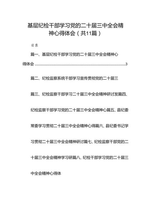 （11篇）基层纪检干部学习党的二十三中全会精神心得体会范文.docx