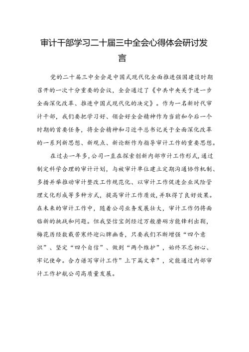 (5篇)审计干部学习二十三中全会心得体会研讨发言范文.docx