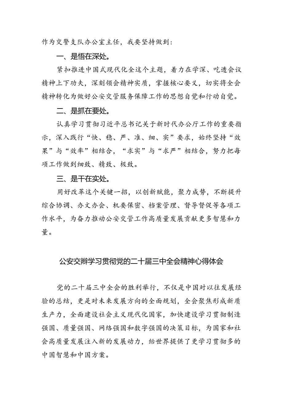 （9篇）交警大队队长学习贯彻党的二十三中全会精神心得体会（详细版）.docx_第3页