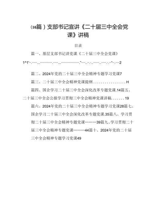 （10篇）支部书记宣讲《二十三中全会党课》讲稿.docx